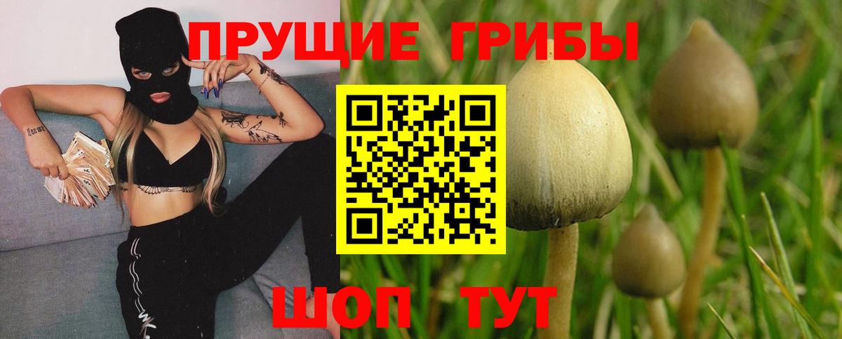 Псилоцибиновые грибы мухоморы  Вход с VPN  Советская Гавань 